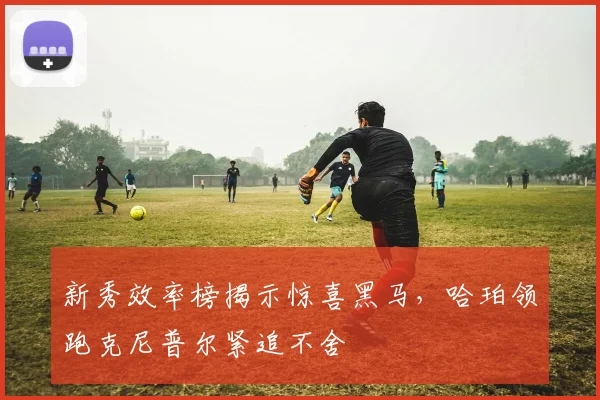 新秀效率榜揭示惊喜黑马，哈珀领跑克尼普尔紧追不舍