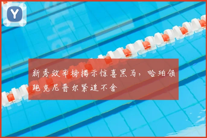 新秀效率榜揭示惊喜黑马，哈珀领跑克尼普尔紧追不舍